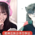 吃瓜主播退网怎么办啊微博,粉丝如何应对？微博热议