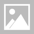外媒曝料：马斯克曾私下请求特朗普为特斯拉提供政治支持 应对公众2025/5/17