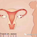 盆底私密门诊,守护女性健康，重塑生活品质